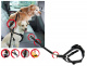 Sicherheitsgeschirr DogSafe, Gr. XL, sw